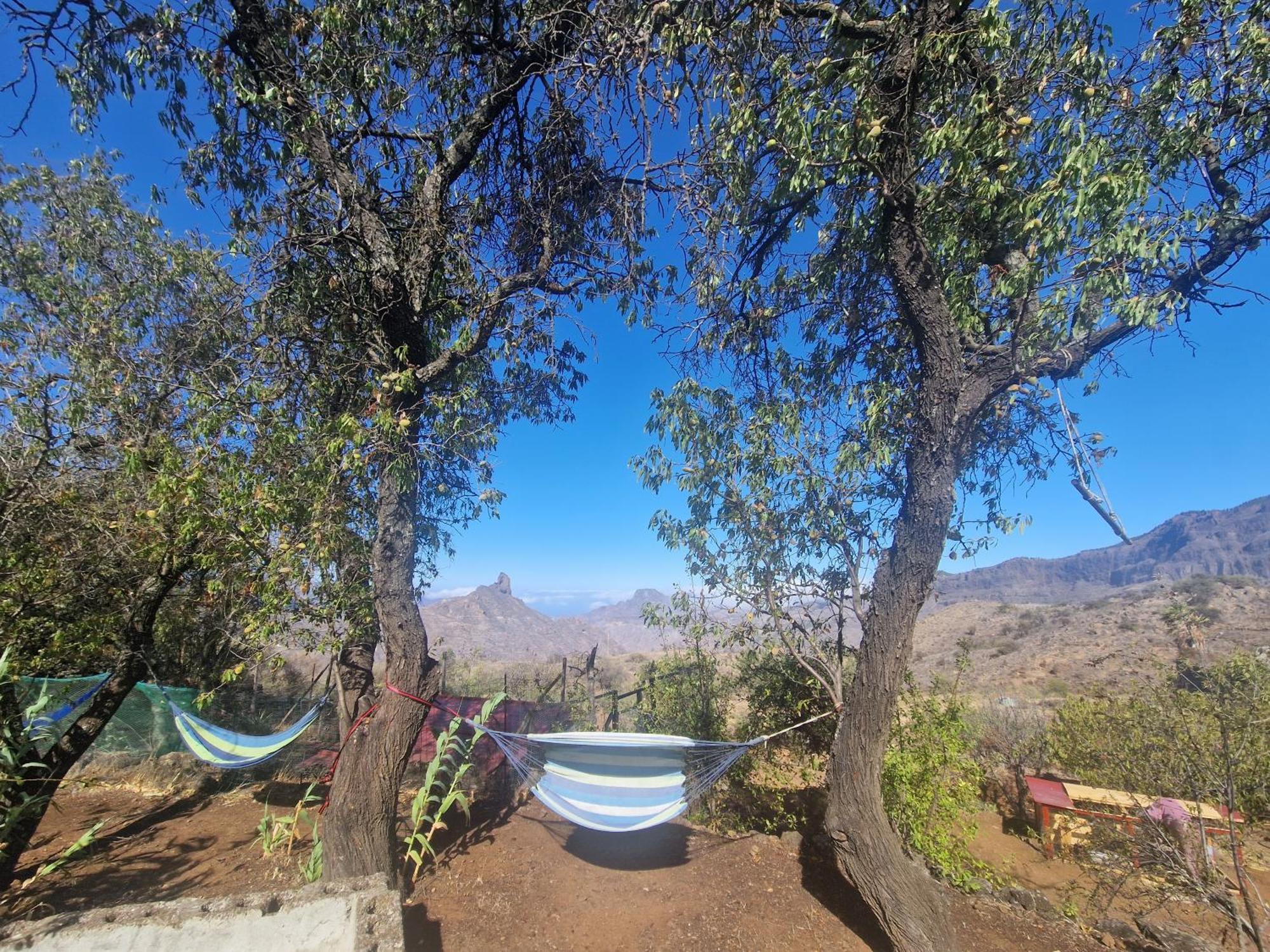 Finca La Isa By Rose Casas Rural Tejeda  Luaran gambar